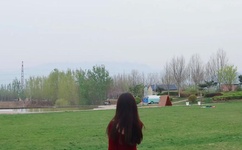 男生女生金版连载